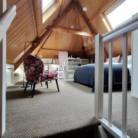 Bed & Breakfast De Buurvrouw Nr.18 3*