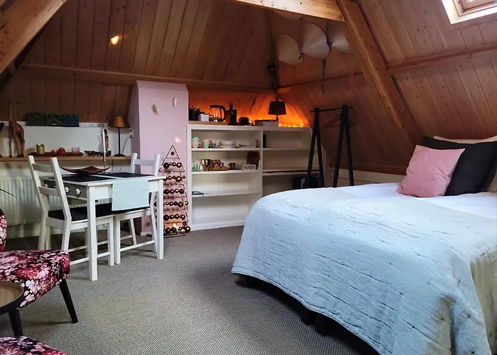 فندق مبيت وإفطار De Buurvrouw Nr.18 دوسبورخ